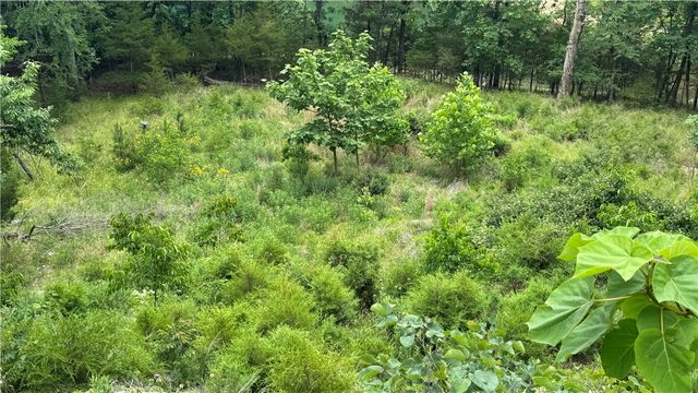 20287 Copper Ridge Road, Rogers, AR 72756