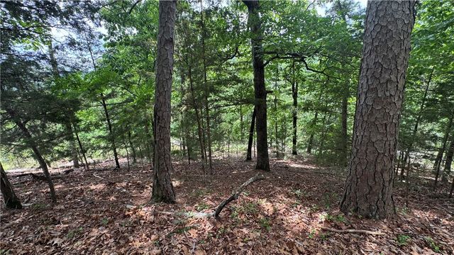 20287 Copper Ridge Road, Rogers, AR 72756