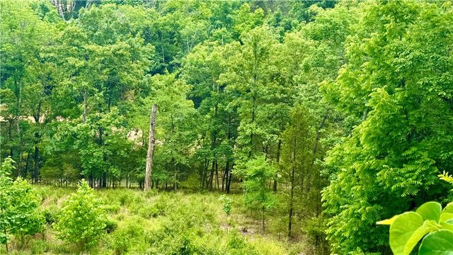 20287 Copper Ridge Road, Rogers, AR 72756