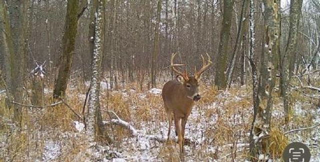 12776 222nd Court NW, Elk River, MN 55330