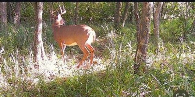 12776 222nd Court NW, Elk River, MN 55330