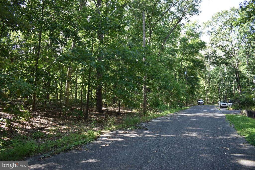 0 JUNIPER AVE, Williamstown, NJ 08094 — photo 4