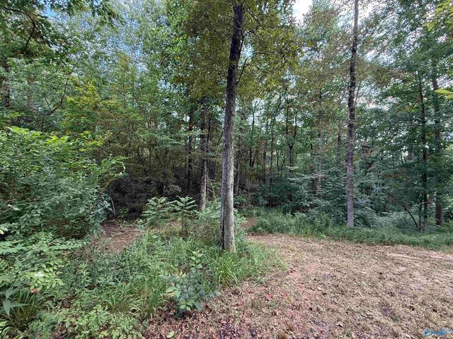 0.66 AC County Road 1606, Cullman, AL 35058