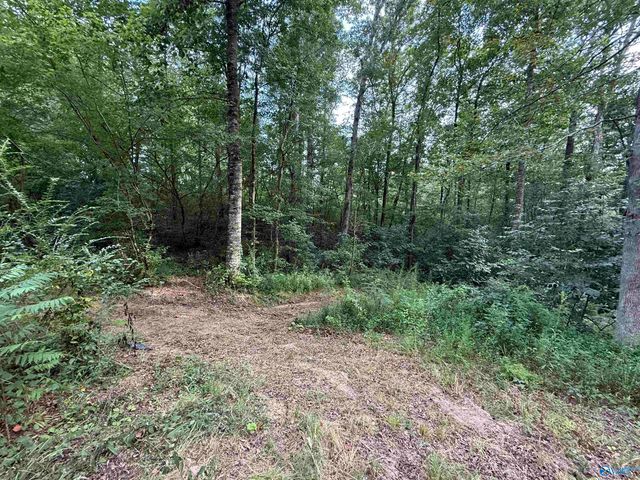 0.66 AC County Road 1606, Cullman, AL 35058