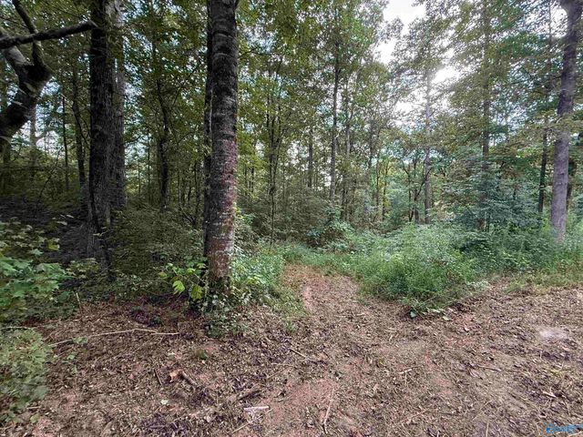 0.66 AC County Road 1606, Cullman, AL 35058