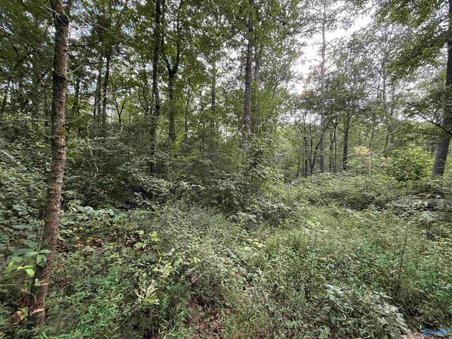 0.66 AC County Road 1606, Cullman, AL 35058
