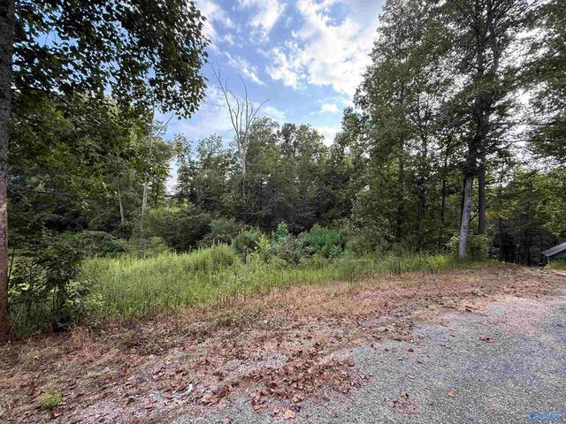 0.66 AC County Road 1606, Cullman, AL 35058