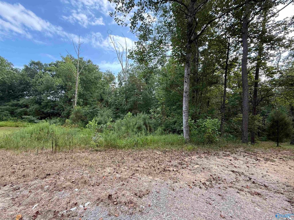 0.66 AC County Road 1606, Cullman, AL 35058