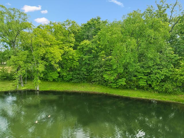8229 Jolene Dr, College Grove, TN 37046