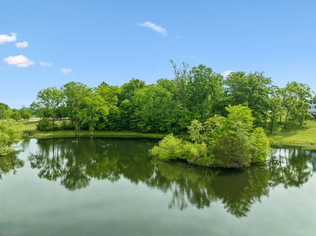 8229 Jolene Dr, College Grove, TN 37046