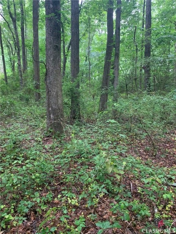 7700 Poole Circle Tract B, Alto, GA 30510
