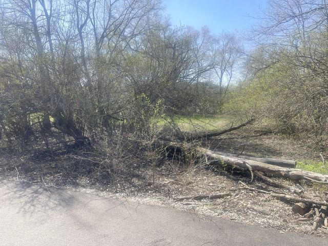 0 Johnson Street, Utica, IL 61373