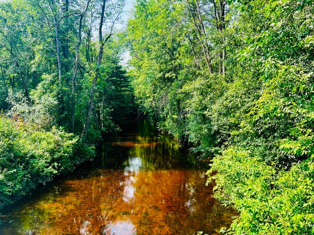 371 Fox Farm Road, Plattsburgh, NY 12901