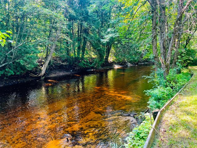 371 Fox Farm Road, Plattsburgh, NY 12901