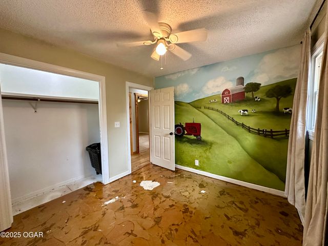 201 N Bobbie Smith Street, Diamond, MO 64840