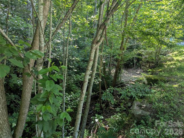 46 Settings Boulevard 139, Black Mountain, NC 28711