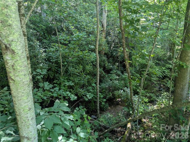 46 Settings Boulevard 139, Black Mountain, NC 28711