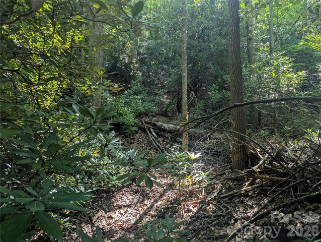 46 Settings Boulevard 139, Black Mountain, NC 28711