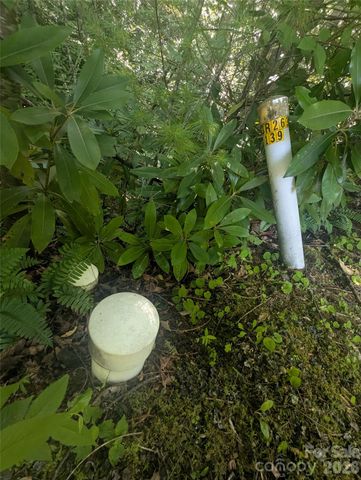 46 Settings Boulevard 139, Black Mountain, NC 28711