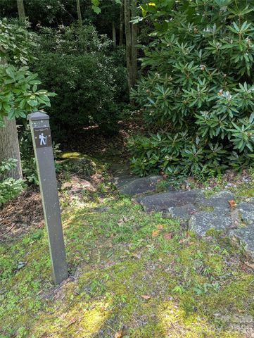 46 Settings Boulevard 139, Black Mountain, NC 28711