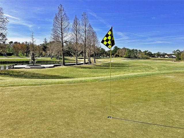 5245 GATO DEL SOL CIRCLE, Wesley Chapel, FL 33544