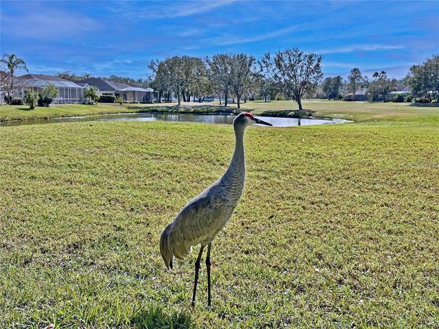 5245 GATO DEL SOL CIRCLE, Wesley Chapel, FL 33544