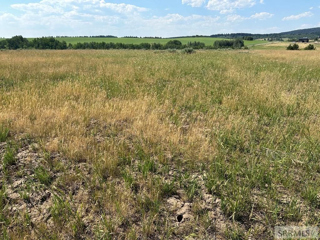 Image 2 of property listing at 1593 Sharptail Road, Ashton, ID 83420