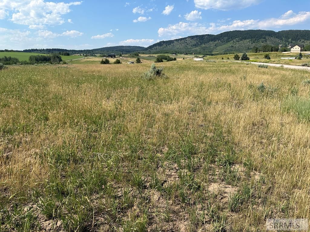 Image 21 of property listing at 1593 Sharptail Road, Ashton, ID 83420