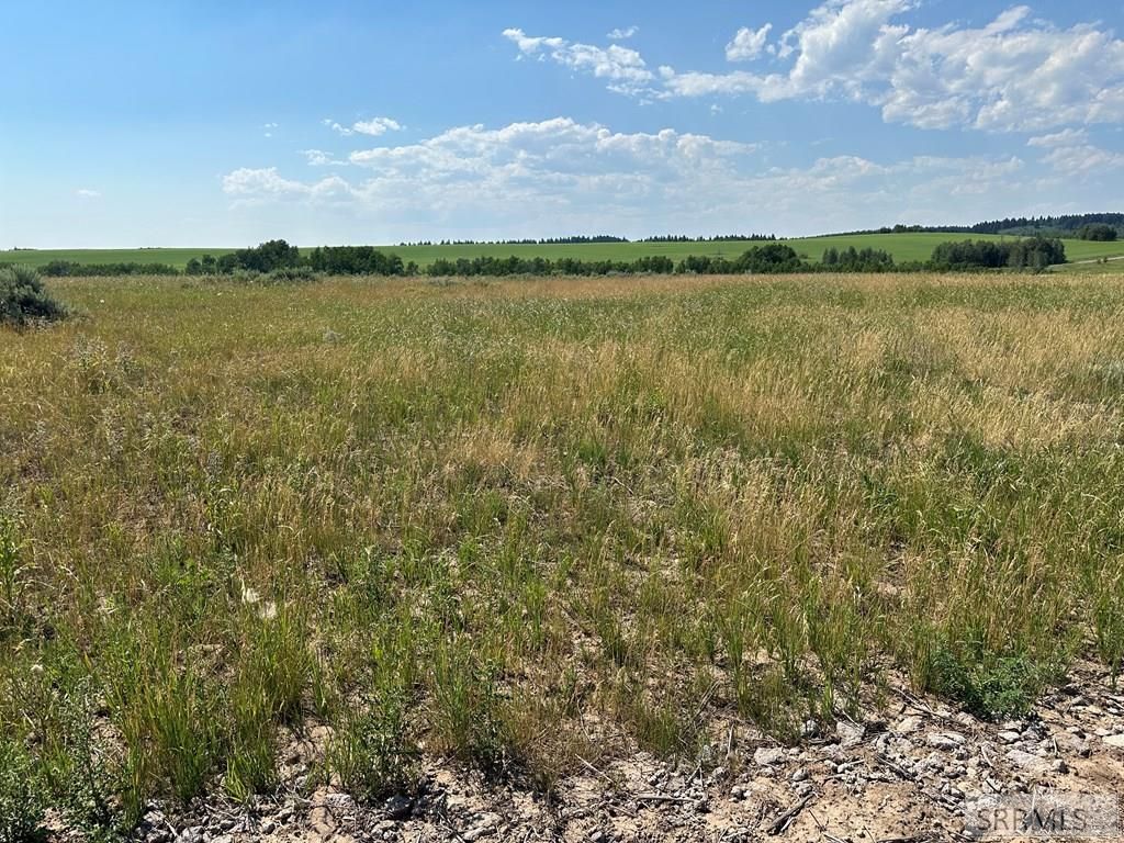 Image 5 of property listing at 1593 Sharptail Road, Ashton, ID 83420