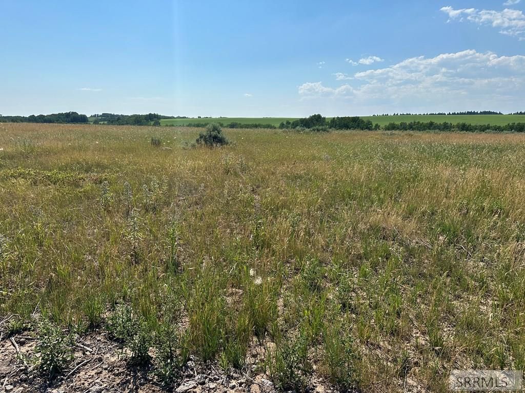 Image 6 of property listing at 1593 Sharptail Road, Ashton, ID 83420