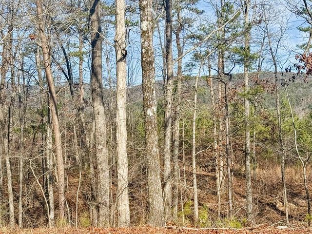 931 Piney Hill Road, Chatsworth, GA 30705