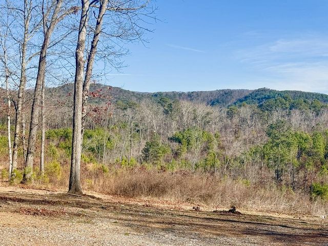 931 Piney Hill Road, Chatsworth, GA 30705