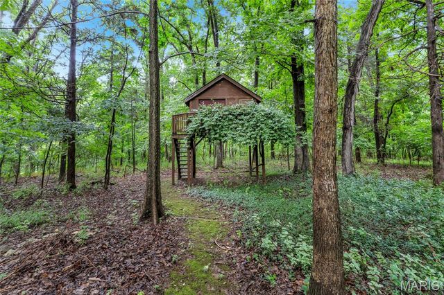 9 Wilderness Lane, Defiance, MO 63341