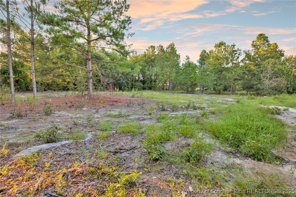 234 Brower Road, Cameron, NC 28326