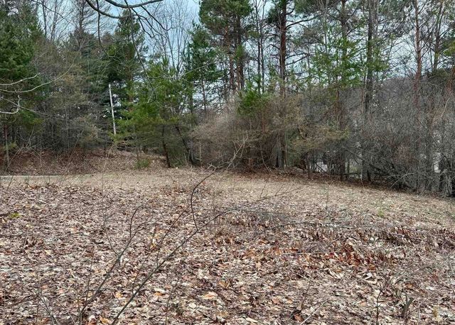 00 S Lake Shore Drive, Cedar, MI 49621