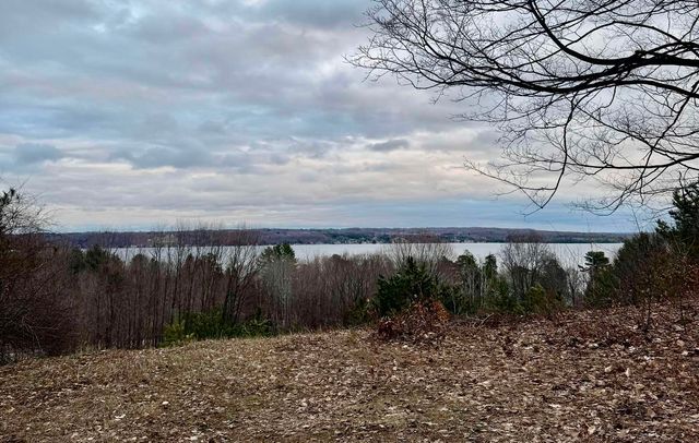 00 S Lake Shore Drive, Cedar, MI 49621