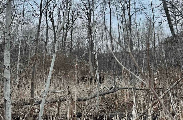 00 S Lake Shore Drive, Cedar, MI 49621