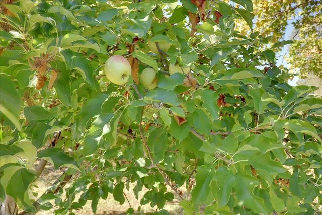 8890 Daguerra Point Dr, Marysville, CA 95901