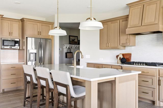 1732 Laquey Avenue NE, Saint Michael, MN 55376
