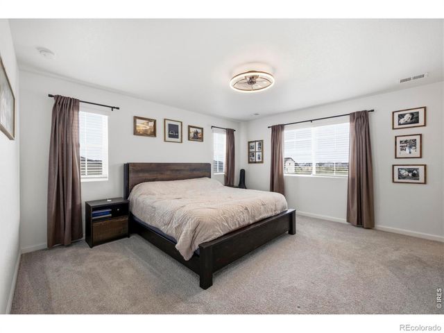 965 Sandhills Street, Windsor, CO 80550