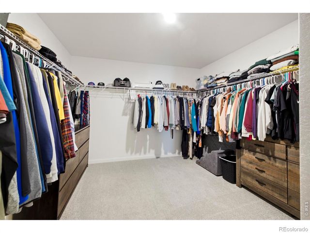 965 Sandhills Street, Windsor, CO 80550