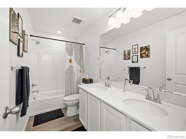 965 Sandhills Street, Windsor, CO 80550