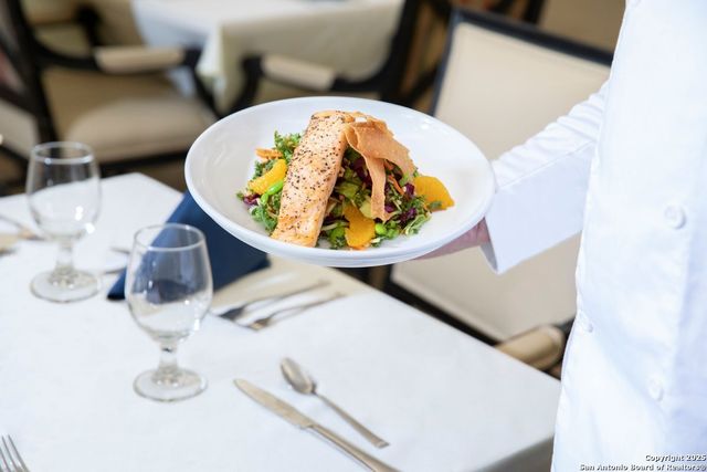 1 Towers Park Ln Apt 1810, San Antonio, TX 78209