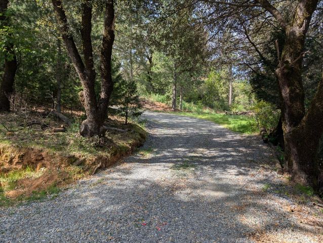 15405 McElroy Rd, Meadow Vista, CA 95722