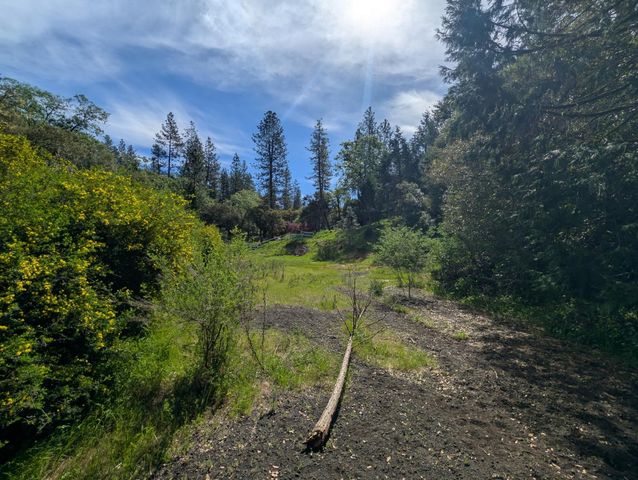 15405 McElroy Rd, Meadow Vista, CA 95722