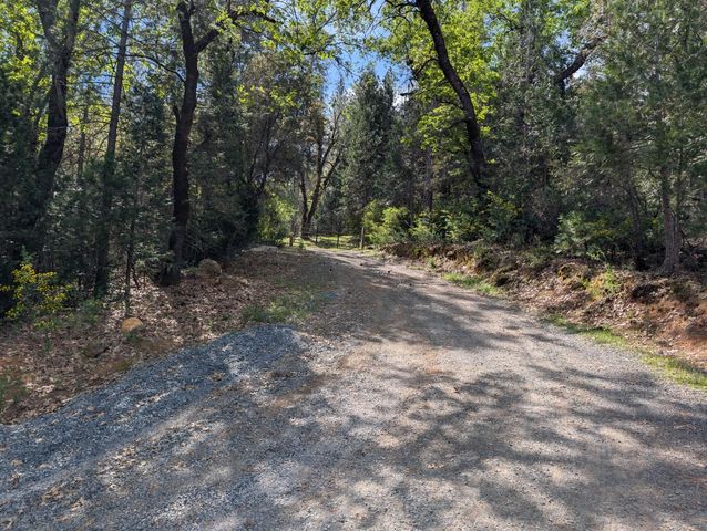 15405 McElroy Rd, Meadow Vista, CA 95722