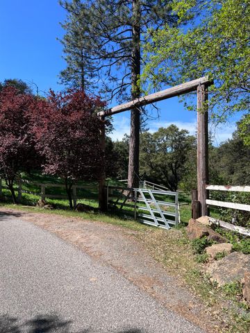 15405 McElroy Rd, Meadow Vista, CA 95722