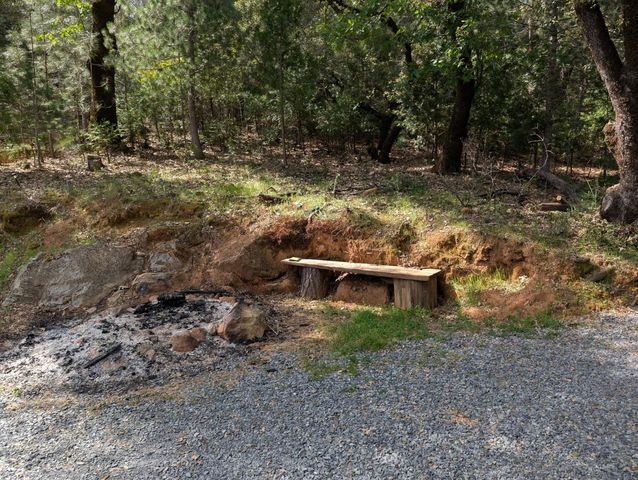 15405 McElroy Rd, Meadow Vista, CA 95722