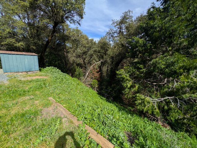 15405 McElroy Rd, Meadow Vista, CA 95722