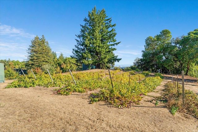 24854 Skyland Road, Los Gatos, CA 95033